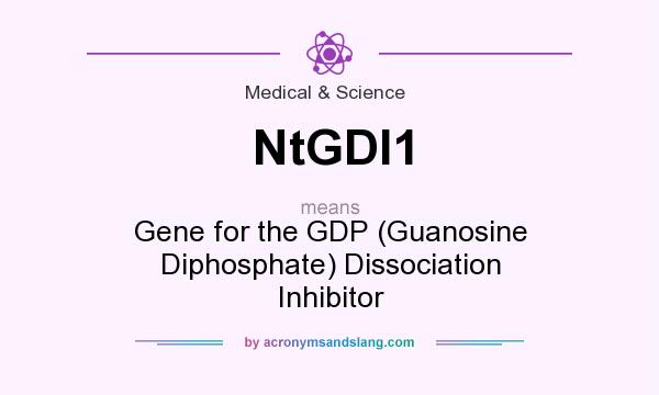 What does NtGDI1 mean? It stands for Gene for the GDP (Guanosine Diphosphate) Dissociation Inhibitor