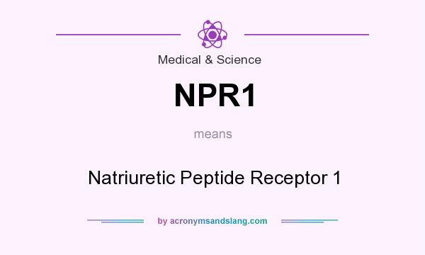 What does NPR1 mean? It stands for Natriuretic Peptide Receptor 1
