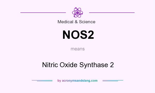 What does NOS2 mean? It stands for Nitric Oxide Synthase 2
