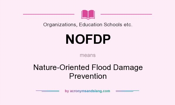 What does NOFDP mean? It stands for Nature-Oriented Flood Damage Prevention
