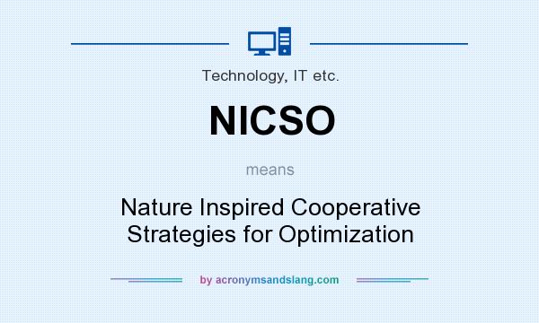 What does NICSO mean? It stands for Nature Inspired Cooperative Strategies for Optimization