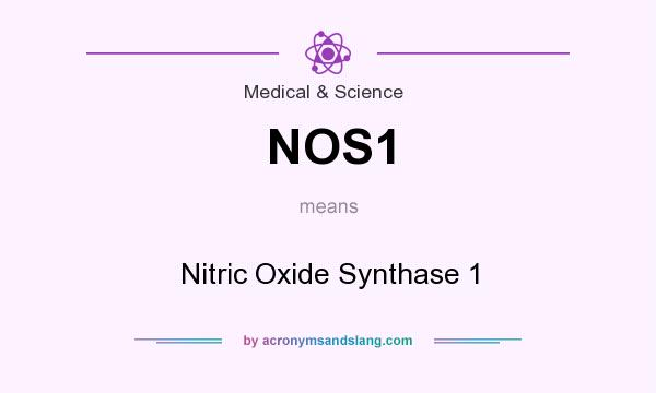 What does NOS1 mean? It stands for Nitric Oxide Synthase 1