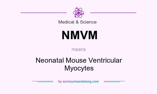 What does NMVM mean? It stands for Neonatal Mouse Ventricular Myocytes
