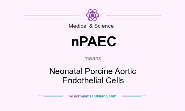 What does nPAEC mean? It stands for Neonatal Porcine Aortic Endothelial Cells