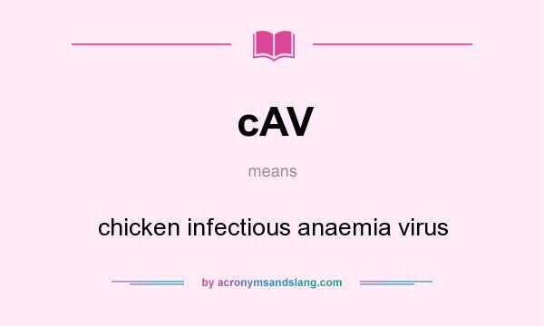 What does cAV mean? It stands for chicken infectious anaemia virus