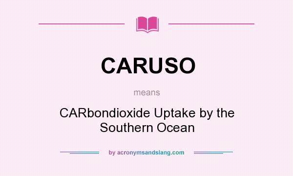 What does CARUSO mean? It stands for CARbondioxide Uptake by the Southern Ocean