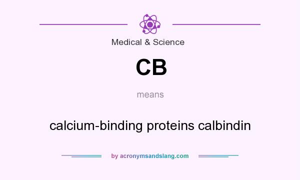 What does CB mean? It stands for calcium-binding proteins calbindin