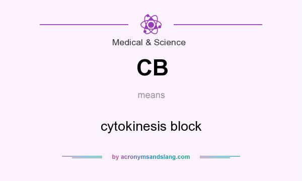 What does CB mean? It stands for cytokinesis block