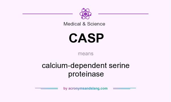 What does CASP mean? It stands for calcium-dependent serine proteinase