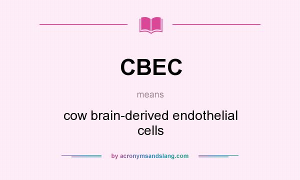 What does CBEC mean? It stands for cow brain-derived endothelial cells