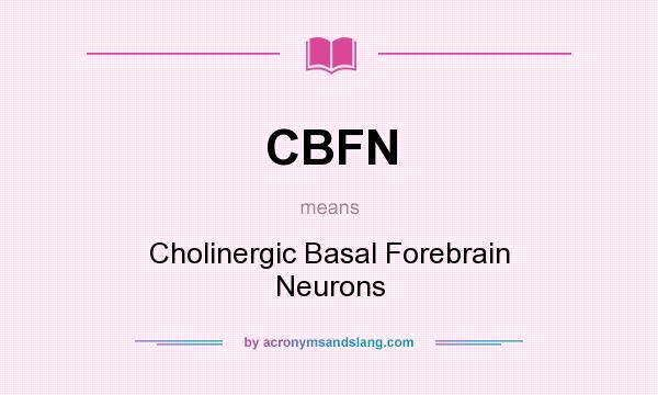 What does CBFN mean? It stands for Cholinergic Basal Forebrain Neurons