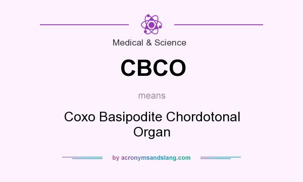 What does CBCO mean? It stands for Coxo Basipodite Chordotonal Organ