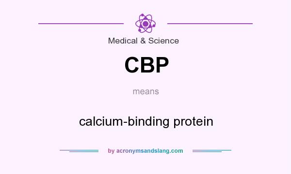 What does CBP mean? It stands for calcium-binding protein