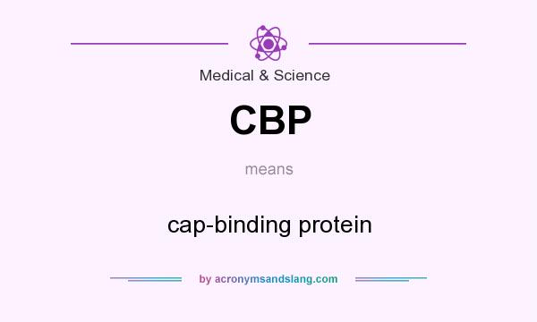 What does CBP mean? It stands for cap-binding protein