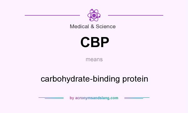 What does CBP mean? It stands for carbohydrate-binding protein