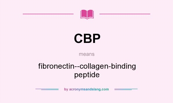 What does CBP mean? It stands for fibronectin--collagen-binding peptide