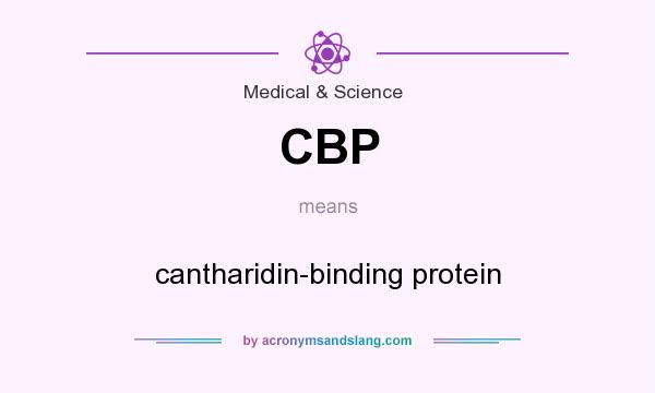 What does CBP mean? It stands for cantharidin-binding protein