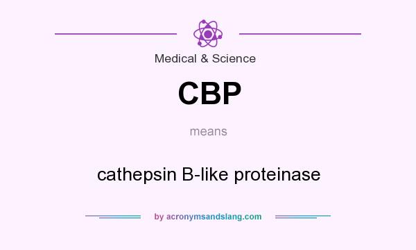 What does CBP mean? It stands for cathepsin B-like proteinase
