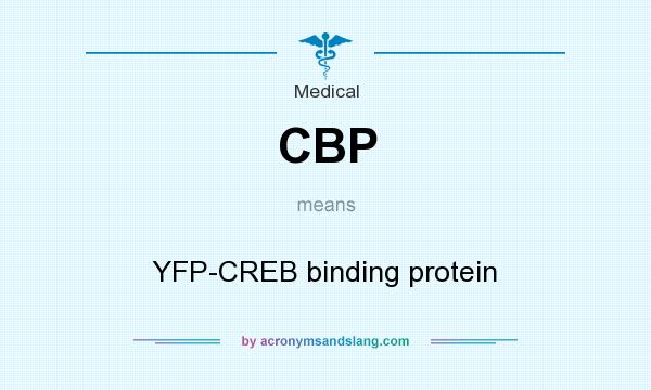 What does CBP mean? It stands for YFP-CREB binding protein