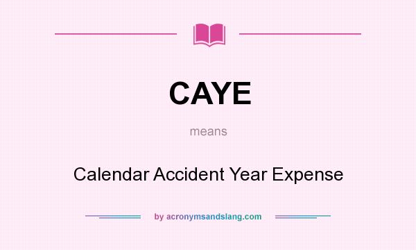 What does CAYE mean? It stands for Calendar Accident Year Expense