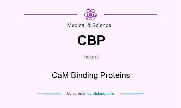 What does CBP mean? It stands for CaM Binding Proteins