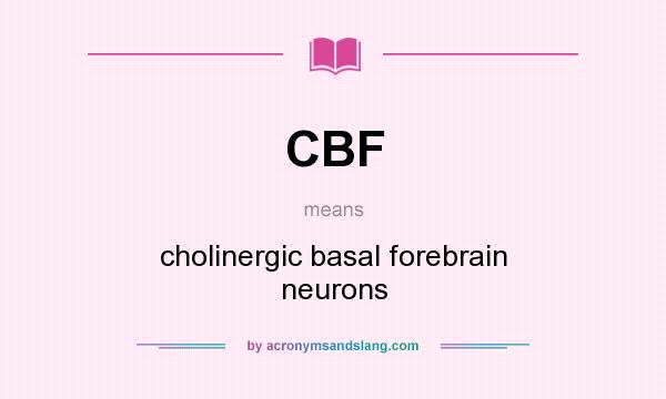 What does CBF mean? It stands for cholinergic basal forebrain neurons