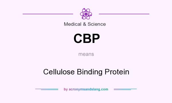 What does CBP mean? It stands for Cellulose Binding Protein