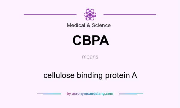 What does CBPA mean? It stands for cellulose binding protein A