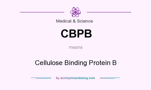 What does CBPB mean? It stands for Cellulose Binding Protein B