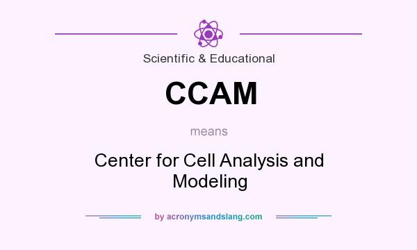 What does CCAM mean? It stands for Center for Cell Analysis and Modeling