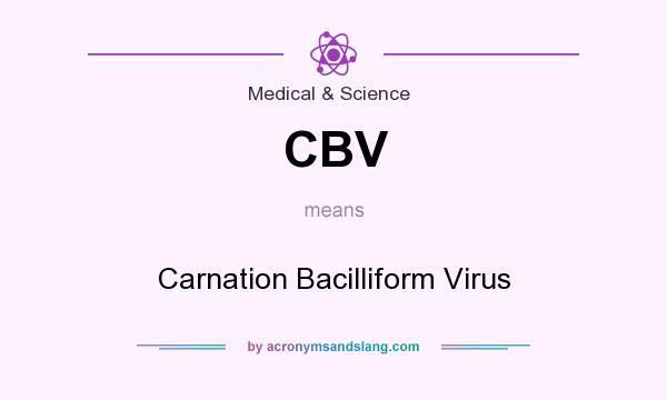 What does CBV mean? It stands for Carnation Bacilliform Virus