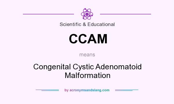 What does CCAM mean? It stands for Congenital Cystic Adenomatoid Malformation