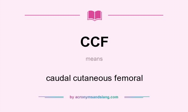 What does CCF mean? It stands for caudal cutaneous femoral