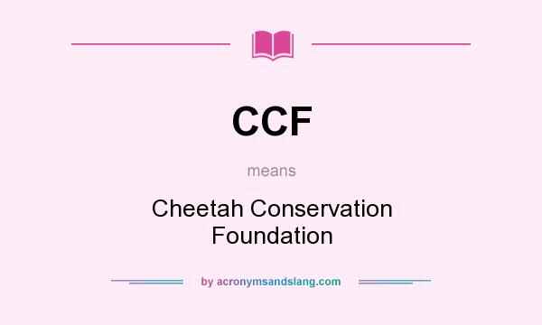 What does CCF mean? It stands for Cheetah Conservation Foundation