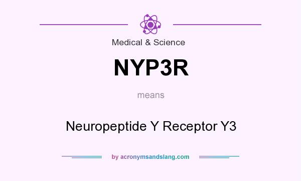 What does NYP3R mean? It stands for Neuropeptide Y Receptor Y3