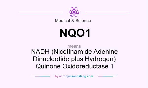 What does NQO1 mean? It stands for NADH (Nicotinamide Adenine Dinucleotide plus Hydrogen) Quinone Oxidoreductase 1