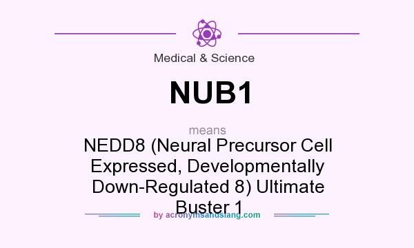 What does NUB1 mean? It stands for NEDD8 (Neural Precursor Cell Expressed, Developmentally Down-Regulated 8) Ultimate Buster 1