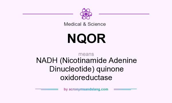 What does NQOR mean? It stands for NADH (Nicotinamide Adenine Dinucleotide) quinone oxidoreductase