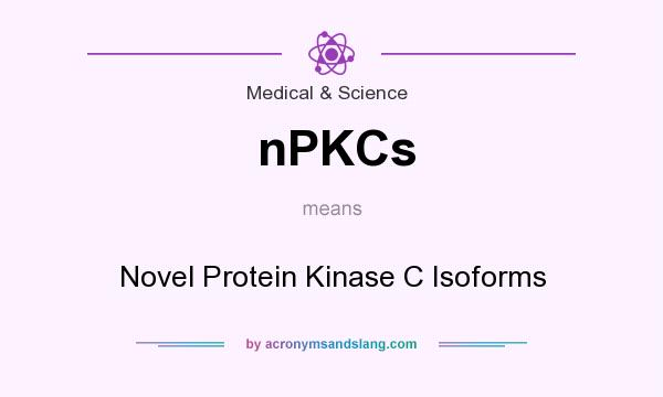What does nPKCs mean? It stands for Novel Protein Kinase C Isoforms