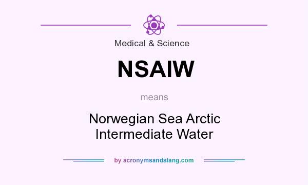 What does NSAIW mean? It stands for Norwegian Sea Arctic Intermediate Water