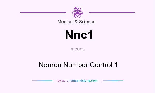 What does Nnc1 mean? It stands for Neuron Number Control 1