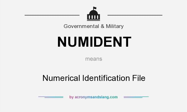 What does NUMIDENT mean? It stands for Numerical Identification File
