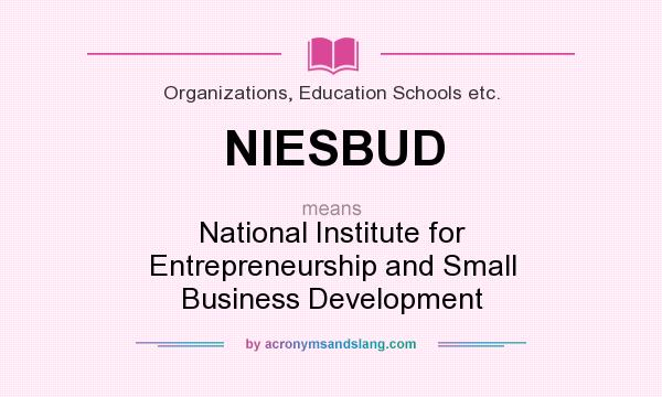 What does NIESBUD mean? It stands for National Institute for Entrepreneurship and Small Business Development