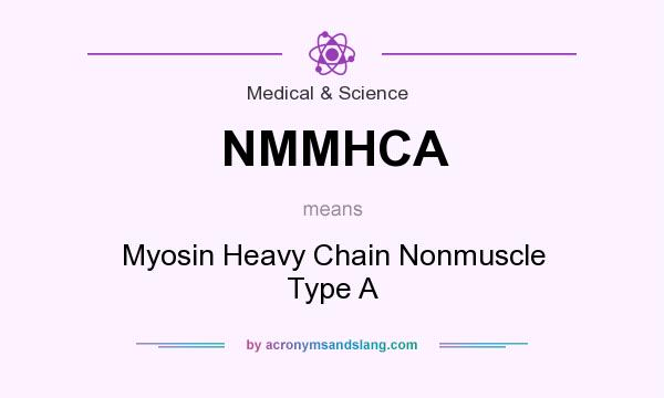 What does NMMHCA mean? It stands for Myosin Heavy Chain Nonmuscle Type A
