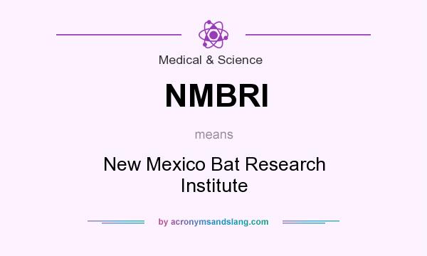 What does NMBRI mean? It stands for New Mexico Bat Research Institute