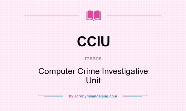 What does CCIU mean? It stands for Computer Crime Investigative Unit