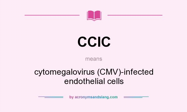 What does CCIC mean? It stands for cytomegalovirus (CMV)-infected endothelial cells