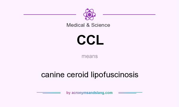 What does CCL mean? It stands for canine ceroid lipofuscinosis