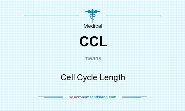 What does CCL mean? It stands for Cell Cycle Length
