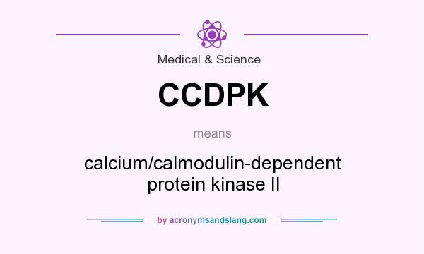 What does CCDPK mean? It stands for calcium/calmodulin-dependent protein kinase II
